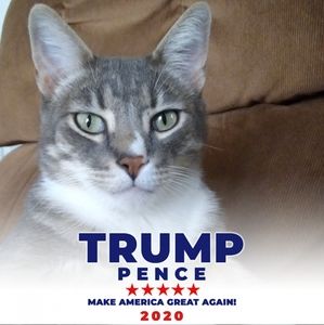 Meet your Posher, Lura